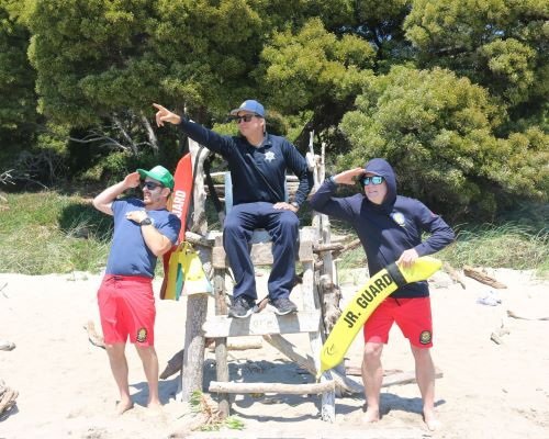 Jr. Lifeguard Rustic Tower